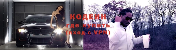 индика Богородицк