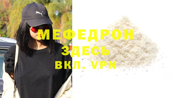 индика Богородицк