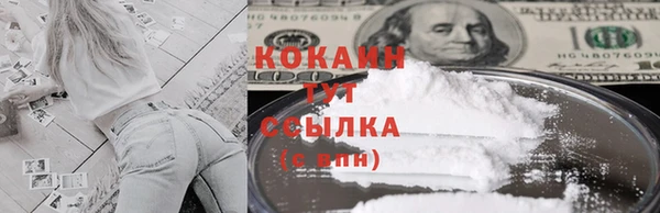гашик Белоозёрский
