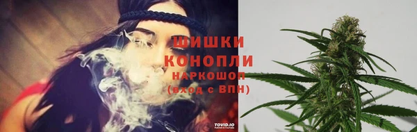 индика Богородицк