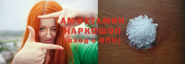 индика Богородицк