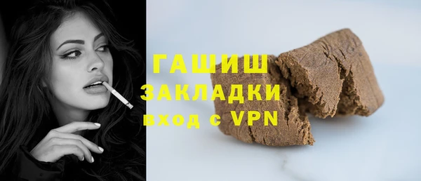 индика Богородицк