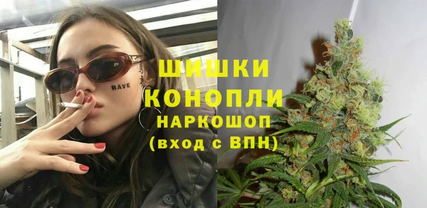 индика Богородицк