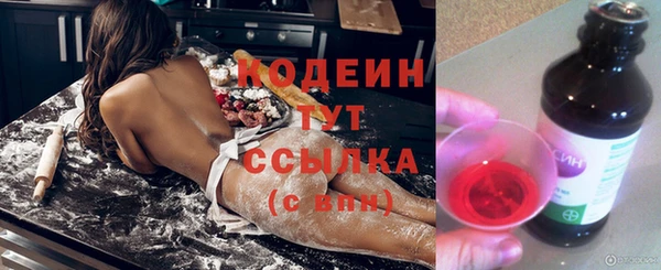 индика Богородицк