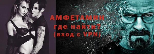 индика Богородицк