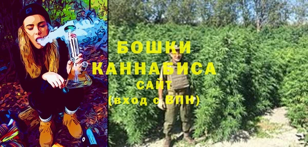 индика Богородицк