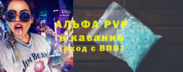 индика Богородицк