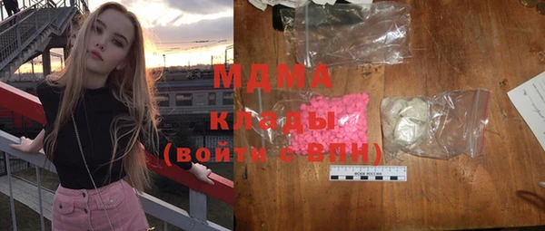 индика Богородицк
