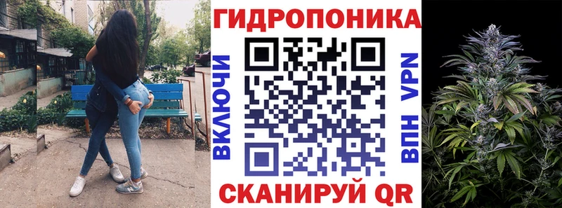 Бошки Шишки Amnesia  Александровское 